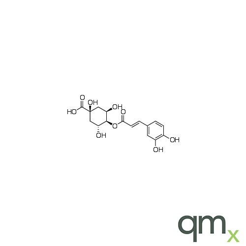 4-O-Caffeoylquinic Acid, neat