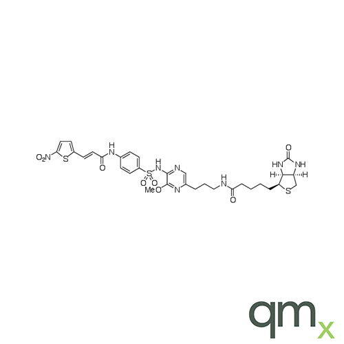 Biotin-Necrosulfonamide Propyl Amide, neat