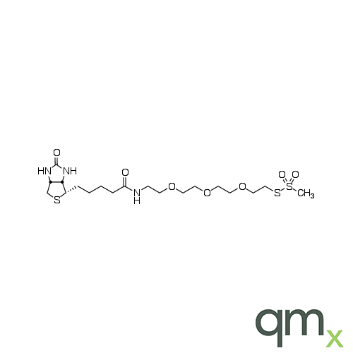 1-Biotinylamino-3,6,9-trioxaundecane-11-yl-methanethiosulfonate, neat