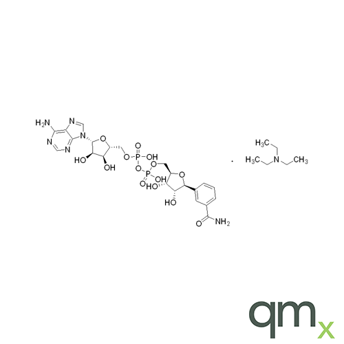 Benzamide Adenine Dinucleotide TEA Salt, neat