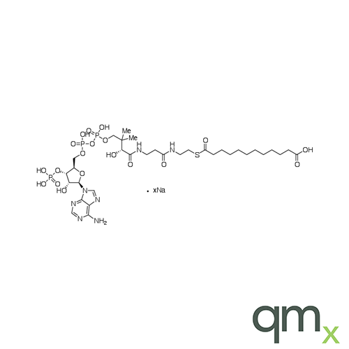 Dodecanedioyl CoA Sodium Salt, neat