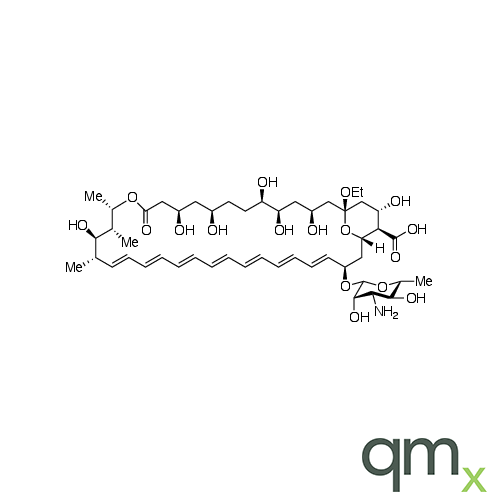 13-O-Ethylamphotericin B (>80%), neat