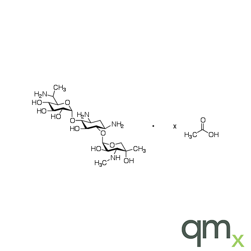Gentamicin B1 Acetate Salt, neat