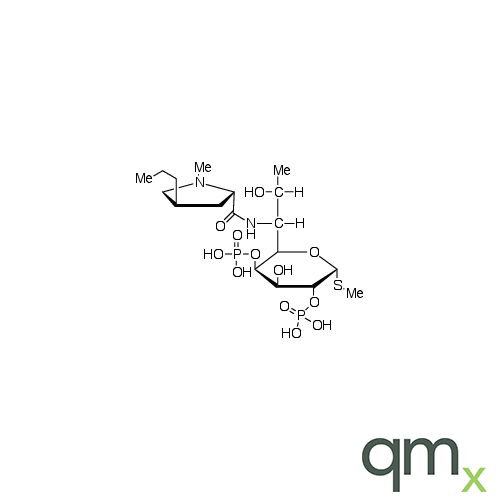 Lincomycin 2,4-Diphosphate, neat