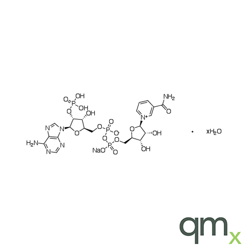 &Atilde;-Nicotinamide Adenine Dinucleotide Phosphate Sodium Salt Hydrate (~90%), neat