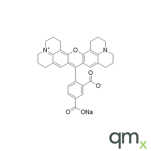 5-ROX Sodium Salt, neat