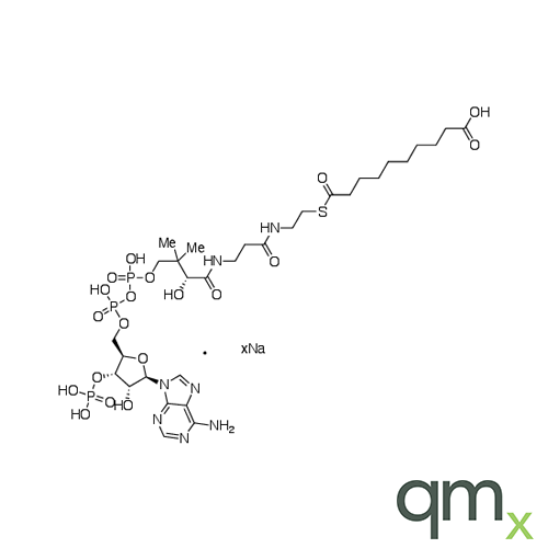 Sebacyl-CoA Sodium Salt, neat