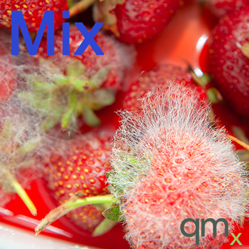 Aflatoxins Mix B1(2Âµg)/B2(0,5Âµg)/G1(2Âµg)/G2(0,5Âµg) in Acetonitrile - A2S certified