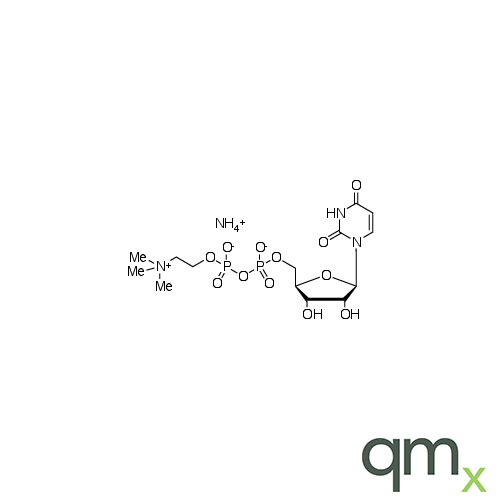 Uridine Diphosphate Choline Ammonium Salt, neat