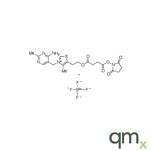 Vitamin B1 O-Succinic Acid-N-Hydroxy Succinimide Tetrafluoroborate, neat